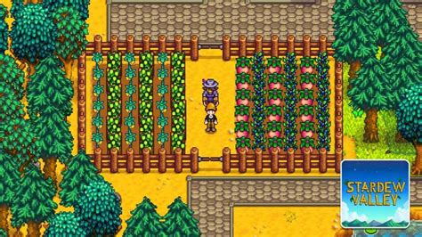 best summer fruit stardew|best crop to grow in summer stardew valley.